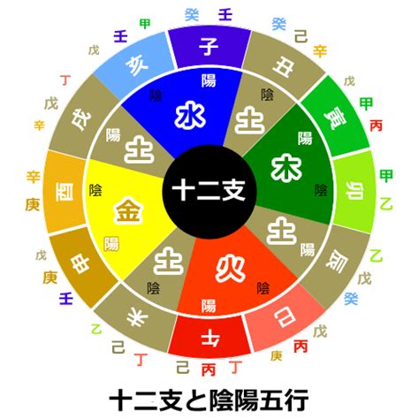 地支陰陽五行